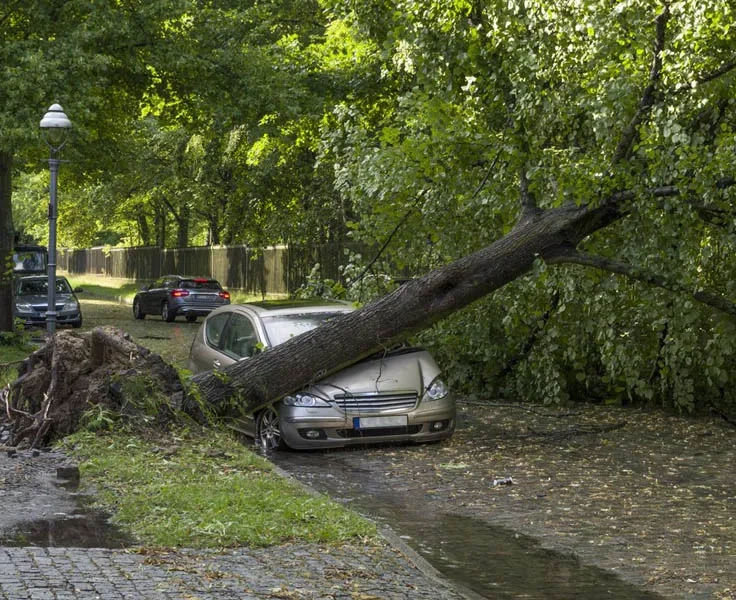 Storm Damage