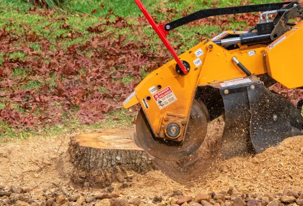 668a0c54bc33b51449398268_Stump-Grinding