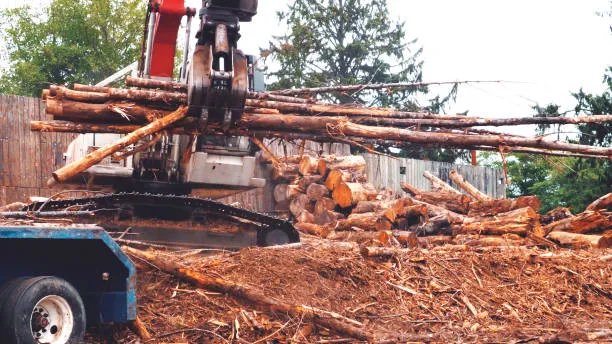 668a2c8f013a3dee59296822_Lot-Clearing