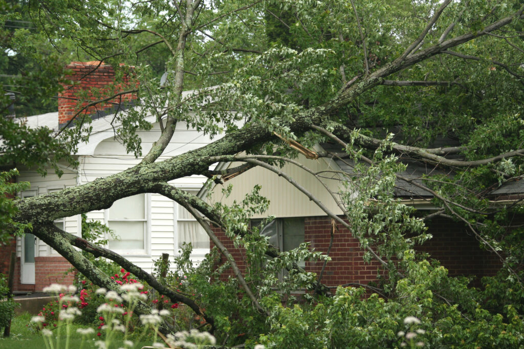 A fallen tree obstructs a residential home struck by severe storms for storm-damage-tree blog.